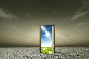 Performance paradigm door