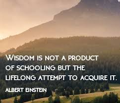 einstein-wisdom